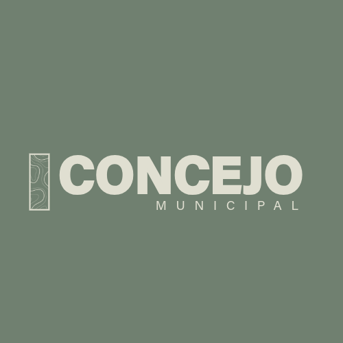 concejomunicipal.cl